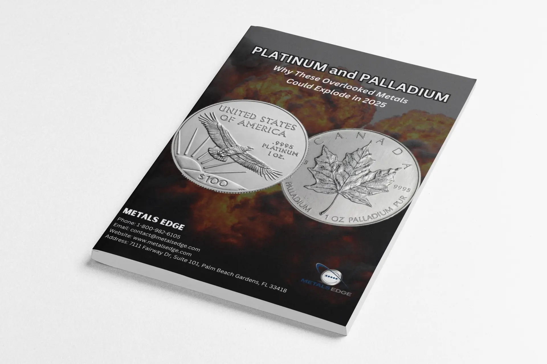 2025 Platinum & Palladium Guide 2025 Platinum & Palladium Guide