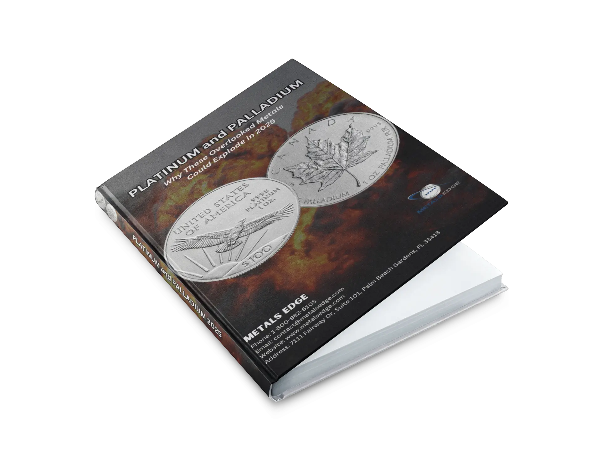 2025 Platinum & Palladium Guide